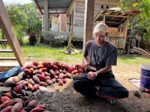 Protecting cocoa farmers and building resilience across the cocoa supply chain