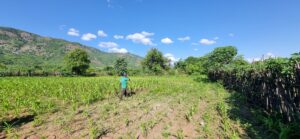 Supporting international development agencies to build climate adaptation for vulnerable populations