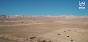 Protecting livestock farmers from drought and extended winters