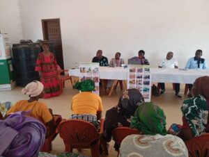 Protecting Shea Nut farmers from climate risks
