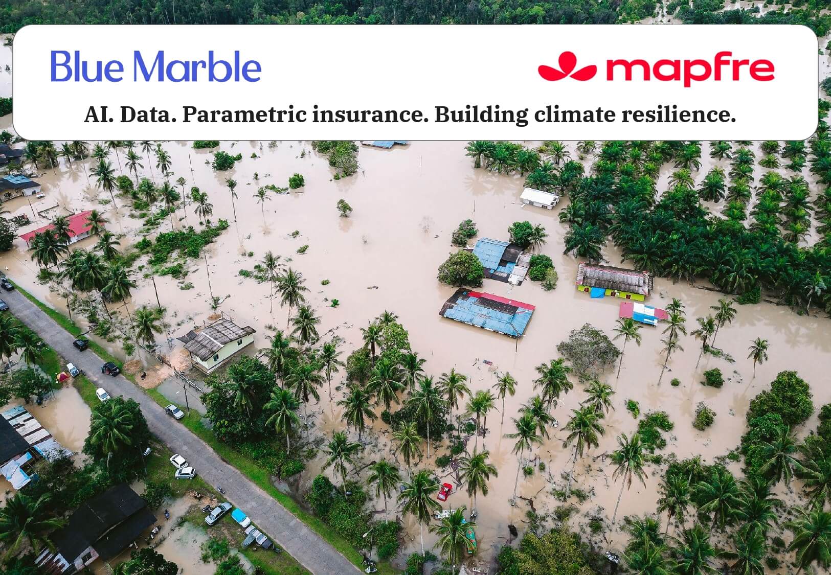 BlueMarble x Mapfre